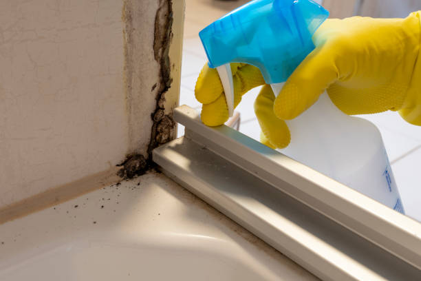 Best Residential Mold Remediation in Sunrise Manor, NV